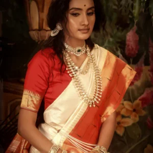 saree3